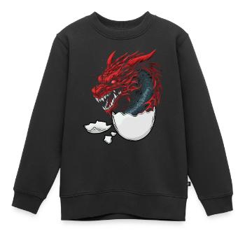 Drache Drachen Ei Eier Fantasy Fabelwesen Fabel - Kinder Premium Organic Sweatshirt - Schwarz - Vorne - AI Model Kid Female (0cm)