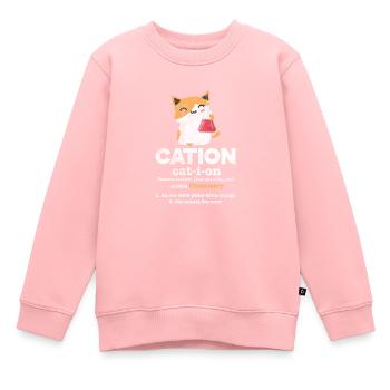 Chemistry Cat Chemist Chemical Laboratory Nerd Gift - Kids Premium Organic Sweatshirt - rose - Front - AI Model Kid Female (0cm)