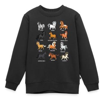 Viele Pferderassen - Cartoon Kawaii Pferde - Kinder Premium Organic Sweatshirt - Schwarz - Vorne - AI Model Kid Female (0cm)