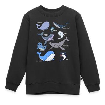 Verschiedene Kawaii Wale - Kinder Premium Organic Sweatshirt - Schwarz - Vorne - AI Model Kid Female (0cm)