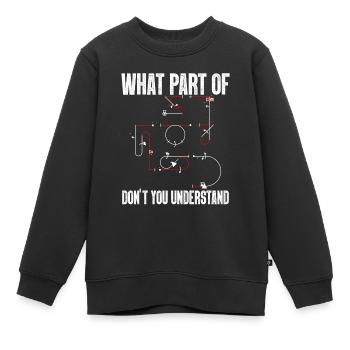 Verstehst Du Nicht Kunstflug Aresti Figuren - Kinder Premium Organic Sweatshirt - Schwarz - Vorne - AI Model Kid Female (0cm)