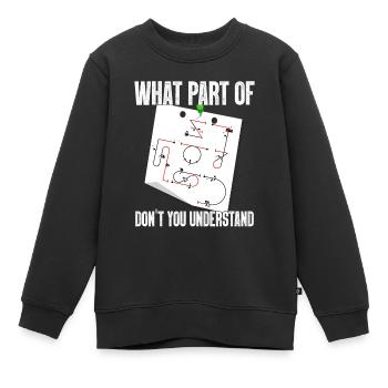 Verstehst Du Nicht Kunstflug Aresti Figuren - Kinder Premium Organic Sweatshirt - Schwarz - Vorne - AI Model Kid Female (0cm)