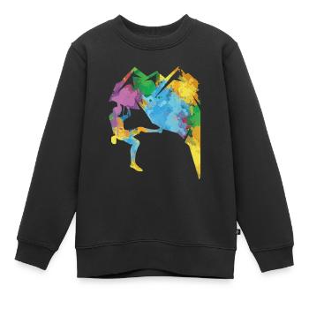 Felsklettern, Bergsteigen, Klettersport, Bouldern - Kinder Premium Organic Sweatshirt - Schwarz - Vorne - AI Model Kid Female (0cm)