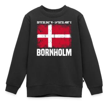 Inseltrip Bornholm - Kinder Premium Organic Sweatshirt - Schwarz - Vorne - AI Model Kid Female (0cm)