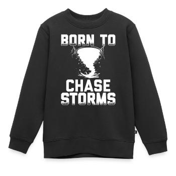 Sturmjäger Geschenke | Unwetter Sturm Jäger Blitz - Kinder Premium Organic Sweatshirt - Schwarz - Vorne - AI Model Kid Female (0cm)
