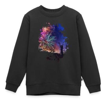Feuerwerk - Kinder Premium Organic Sweatshirt - Schwarz - Vorne - AI Model Kid Female (0cm)