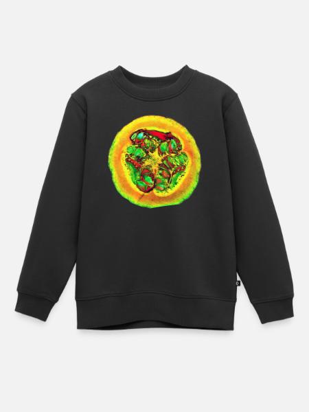 Hokkaido - Kinder Premium Organic Sweatshirt - Schwarz