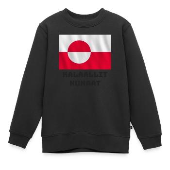 Grönland Flagge - Kinder Premium Organic Sweatshirt - Schwarz - Vorne - AI Model Kid Female (0cm)