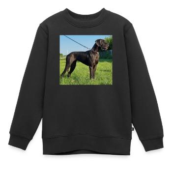 Elite of Druid Grove - Kids Premium Organic Sweatshirt - black - Front - AI Model Kid Female (0cm)