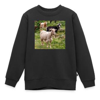 Chèvre de montagne dans le parc national Parc de l’île de Kos - Sweat Premium enfant bio - noir - Devant - AI Model Kid Female (0cm)