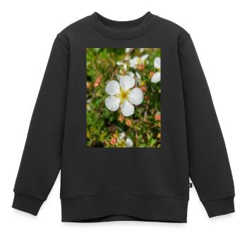 Felsenfingerkraut Felsen-Fingerkraut Potentilla - Kinder Premium Organic Sweatshirt - Schwarz - Vorne - AI Model Kid Female (0cm)