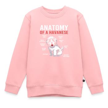 Havanais - Sweat Premium enfant bio - rose - Devant - AI Model Kid Female (0cm)