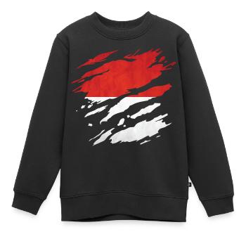 Indonesien - Nationalfahne, Kratzer, Risse - Kinder Premium Organic Sweatshirt - Schwarz - Vorne - AI Model Kid Female (0cm)