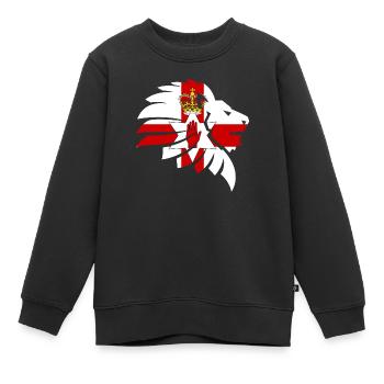 Nordirland - Kinder Premium Organic Sweatshirt - Schwarz - Vorne - AI Model Kid Female (0cm)