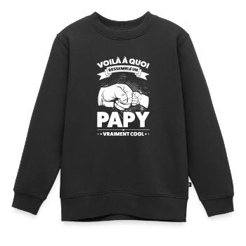 Papi Papi Famille Geschenk - Kinder Premium Organic Sweatshirt - Schwarz - Vorne - AI Model Kid Female (0cm)