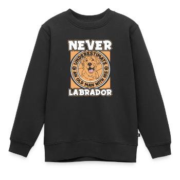Chien Labrador - Sweat Premium enfant bio - noir - Devant - AI Model Kid Female (0cm)