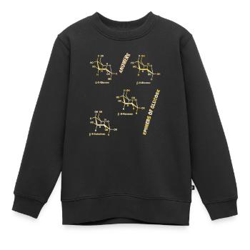 Anomers and Epimers - Rosie Aldrich - Kinder Premium Organic Sweatshirt - Schwarz - Vorne - AI Model Kid Female (0cm)