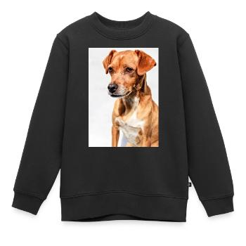 Hunde Portrait Weiß - Kinder Premium Organic Sweatshirt - Schwarz - Vorne - AI Model Kid Female (0cm)