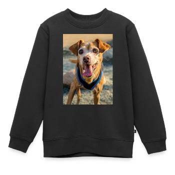 Hunde Portrait im Freiem - Kinder Premium Organic Sweatshirt - Schwarz - Vorne - AI Model Kid Female (0cm)
