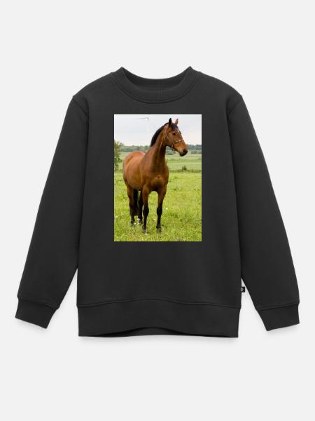 Cheval. Cheval. - Sweat Premium enfant bio - noir