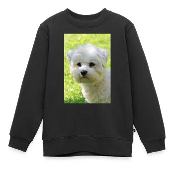 Malteser - Kinder Premium Organic Sweatshirt - Schwarz - Vorne - AI Model Kid Female (0cm)