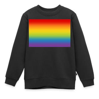 Regenbogen Flagge Fahne LGBT CSD Gay Pride - Kinder Premium Organic Sweatshirt - Schwarz - Vorne - AI Model Kid Female (0cm)