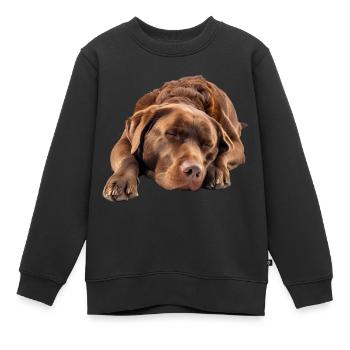 Retriever de la baie de Chesapeake - Sweat Premium enfant bio - noir - Devant - AI Model Kid Female (0cm)
