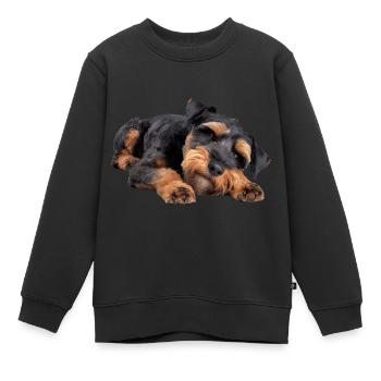 Terrier gallois - Sweat Premium enfant bio - noir - Devant - AI Model Kid Female (0cm)
