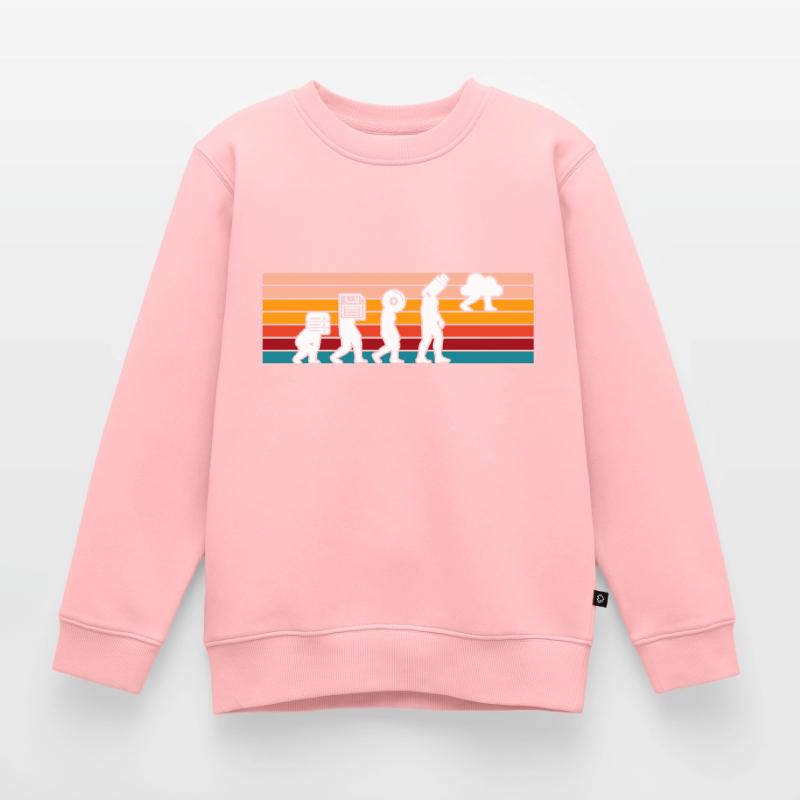 Evolution Of Man Coding Software Developer Program Kinder Premium Organic Sweatshirt