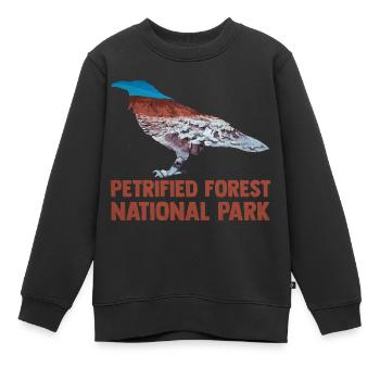 USA Amerika Nationalpark - Kinder Premium Organic Sweatshirt - Schwarz - Vorne - AI Model Kid Female (0cm)