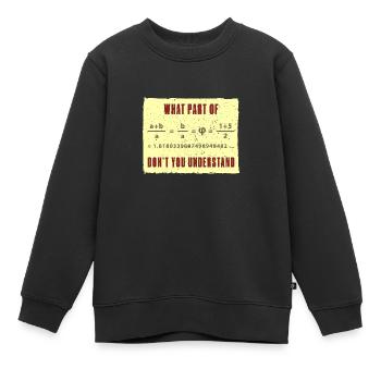 Fibonacci Folge Kunst Goldener Schnitt Mathe - Kinder Premium Organic Sweatshirt - Schwarz - Vorne - AI Model Kid Female (0cm)