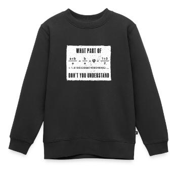 Fibonacci Folge Kunst Goldener Schnitt Mathe - Kinder Premium Organic Sweatshirt - Schwarz - Vorne - AI Model Kid Female (0cm)