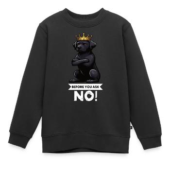 Before You Ask Labrador Labrador Labrador Owner Labrador - Kids Premium Organic Sweatshirt - black - Front - AI Model Kid Female (0cm)