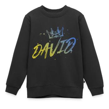 David - Kinder Premium Organic Sweatshirt - Schwarz - Vorne - AI Model Kid Female (0cm)