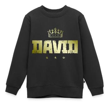 David - Kinder Premium Organic Sweatshirt - Schwarz - Vorne - AI Model Kid Female (0cm)
