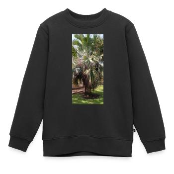 Kanarische schöne Palme - Kinder Premium Organic Sweatshirt - Schwarz - Vorne - AI Model Kid Female (0cm)