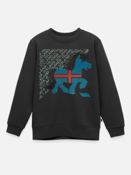 Islande - Sweat Premium enfant bio - noir