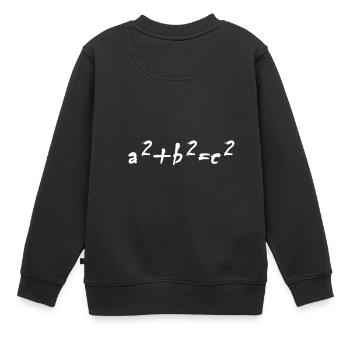 Lustiges Mathe Formel Design Lehrer Geschenkidee - Kinder Premium Organic Sweatshirt - Schwarz - Hinten - AI Model Kid Female (0cm)