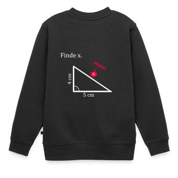 Finde x Mathe Dreieck - Kinder Premium Organic Sweatshirt - Schwarz - Hinten - AI Model Kid Female (0cm)