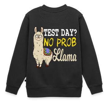 Testtag? Kein prob Lama Shirt mit einem süßen - Kinder Premium Organic Sweatshirt - Schwarz - Hinten - AI Model Kid Female (0cm)