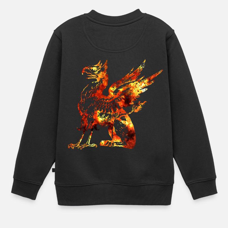 Dragon - Sweat Premium enfant bio - noir