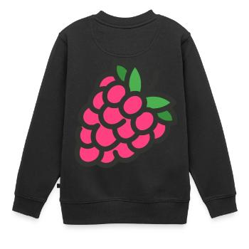 himbeere rasperry obst veggie gemuese fruits14 - Kinder Premium Organic Sweatshirt - Schwarz - Hinten - AI Model Kid Female (0cm)