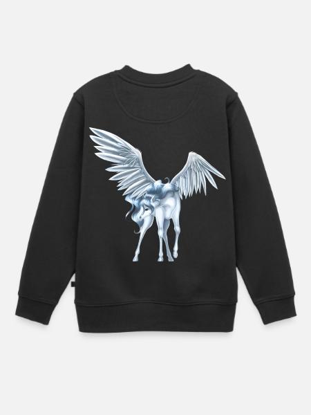 Pegasus 9 - Sweat Premium enfant bio - noir