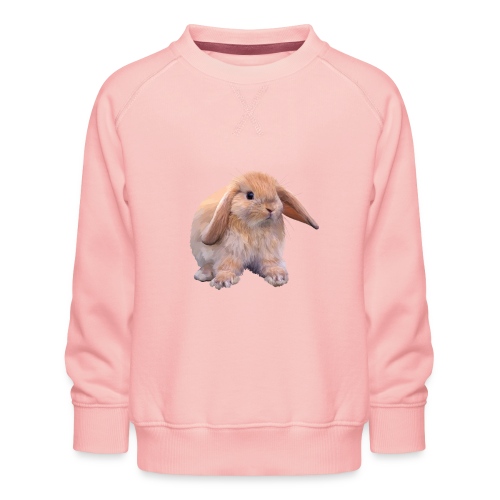 Kaninchen - Kinder Premium Pullover