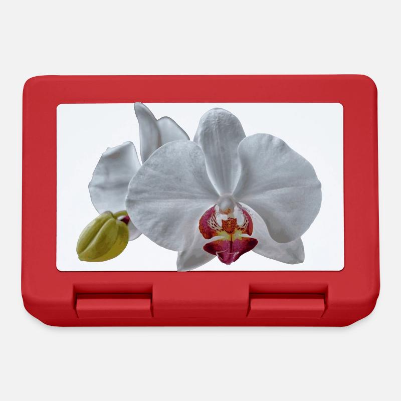 Weiße Orchideen Blüten - Brotdose - Rot