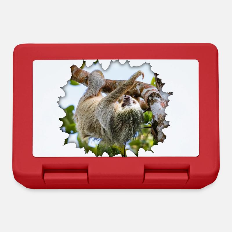 Two-toed Sloth Hanging in a Tree - Lunchbox - red