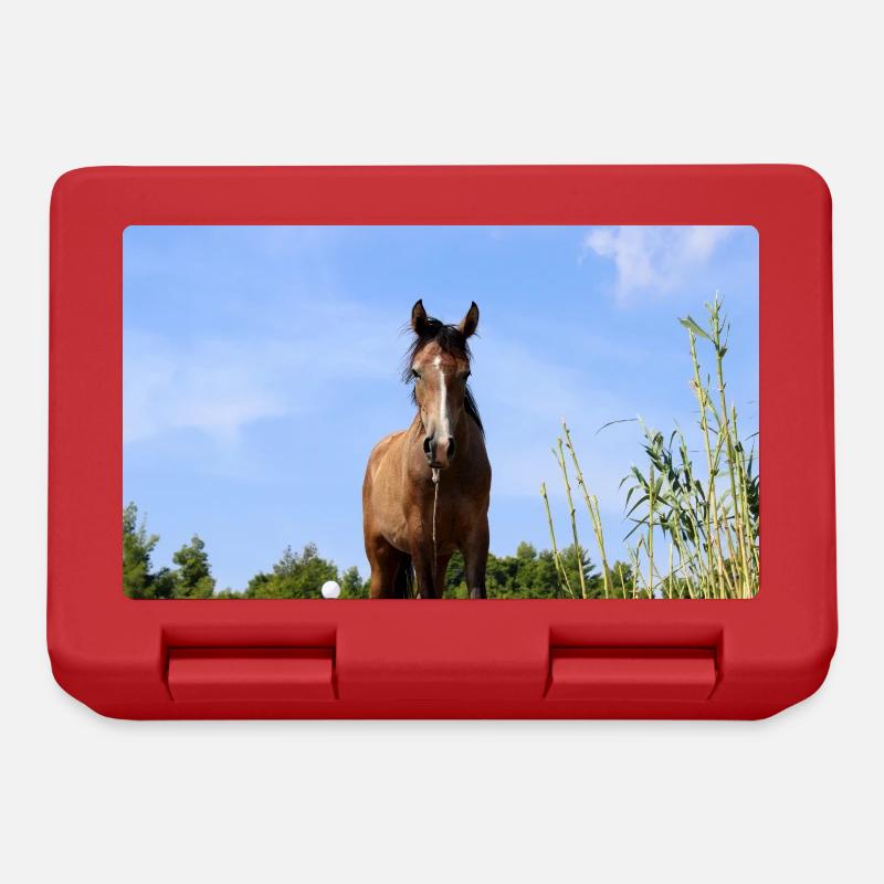 Affiche Cheval Cheval - Boîte à goûter - rouge