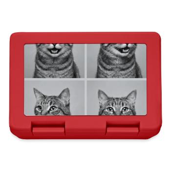 Cats American Bobtail Cat - Lunchbox - red - Front