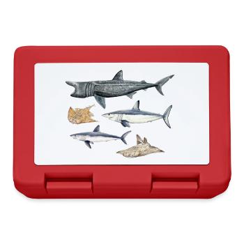 Sharks - Sharks - Requins - Lunchbox - red - Front