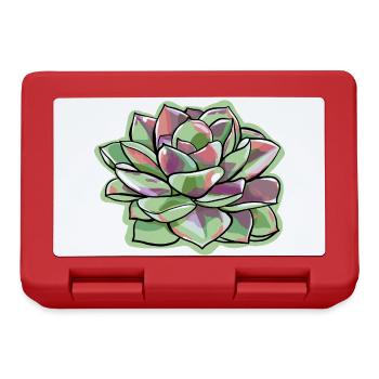 Echeveria Fettblattrosette Sukkulente - Brotdose - Rot - Vorne